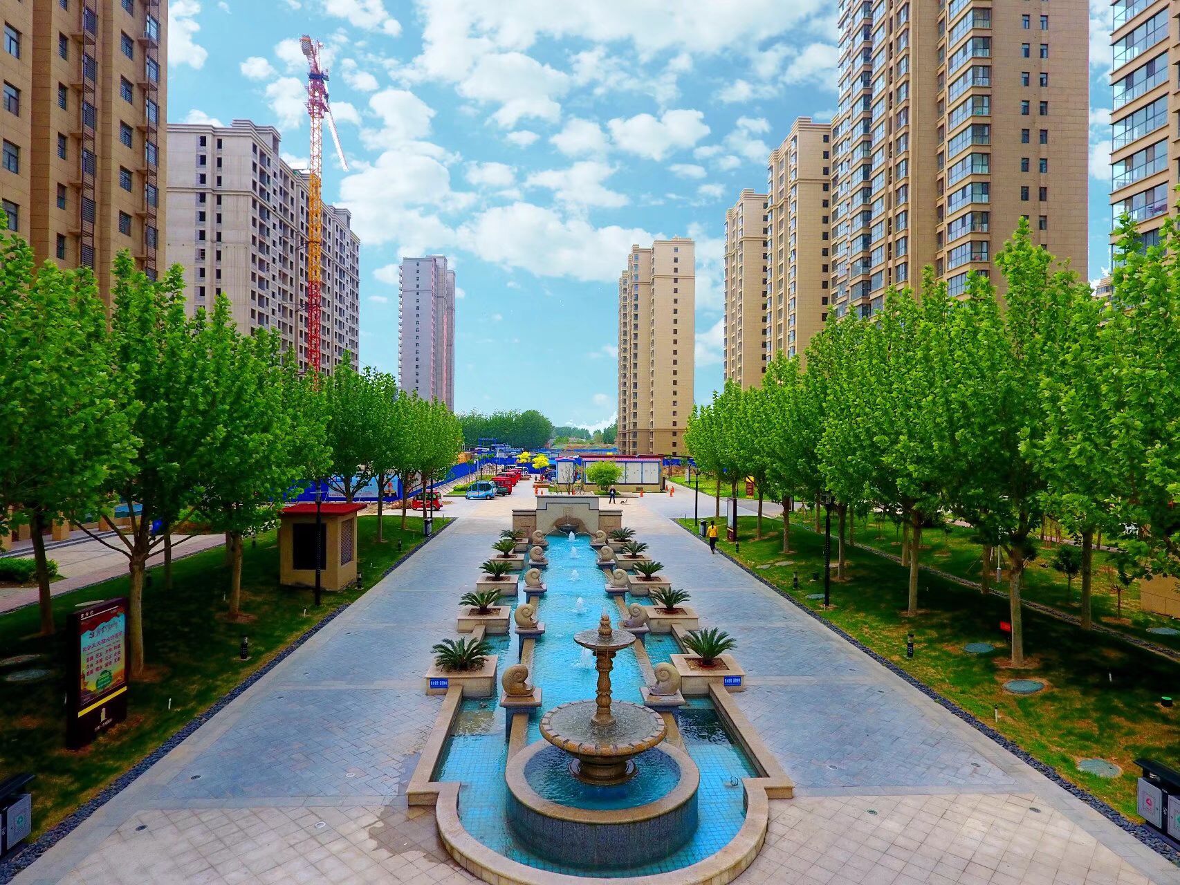 QQ图片20180611125719.jpg